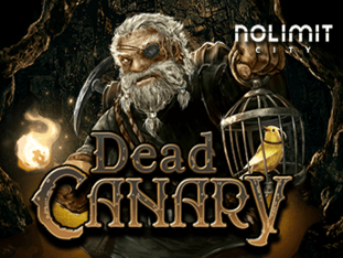 Dead Canary icon